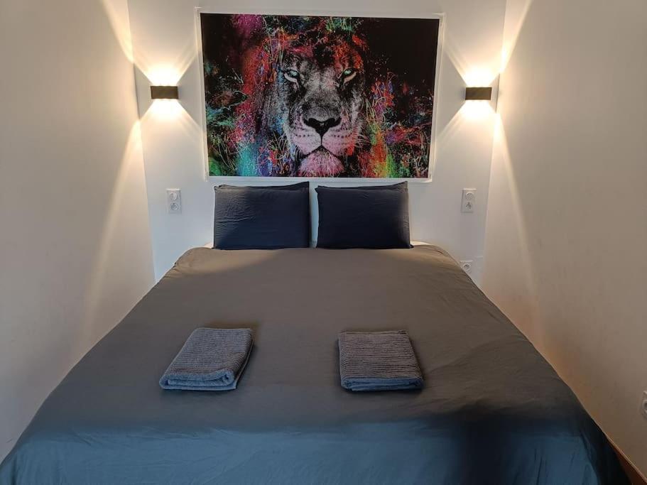 Appartement Confort Equipe Au Coeur De Béziers Zewnętrze zdjęcie
