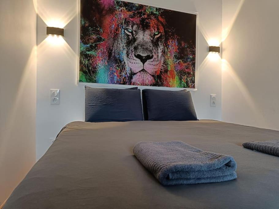 Appartement Confort Equipe Au Coeur De Béziers Zewnętrze zdjęcie